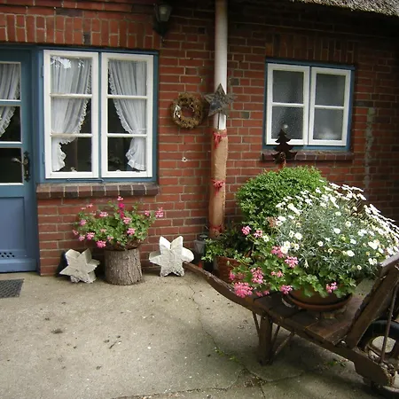 Haus Wolltoeft 'seestern Whg2', Apartament Nieblum